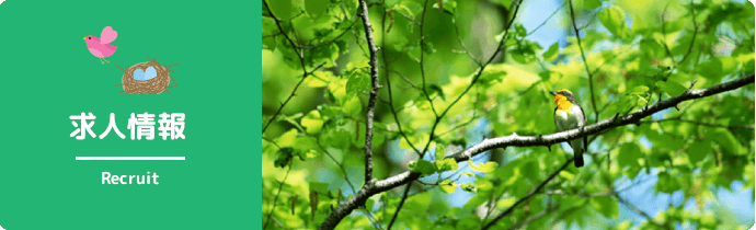 求人情報
